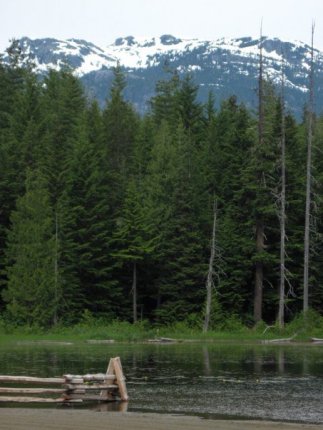 Lost Lake with Mt. Whistler peaking over the trees. The trail from town to Lost lake is about 5km and circles the entire lake. Photo credit Brianna Phillips