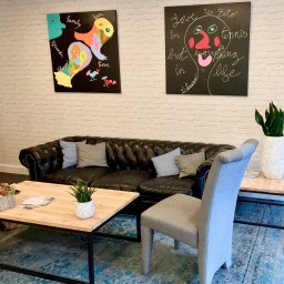 Sanctuary for the fried-out