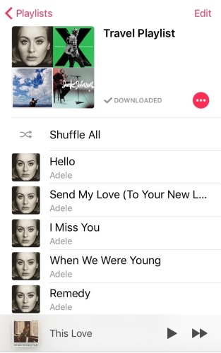 My playlist includes artists such as Adele, Jack Johnson, Grace VanderWaal and Taylor Swift, to name a few.