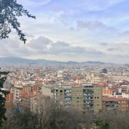 Climb Barcelona’s Mount Montjuïc